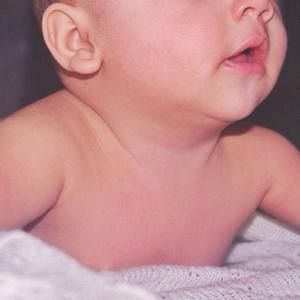 Meet your Posher, Fatima